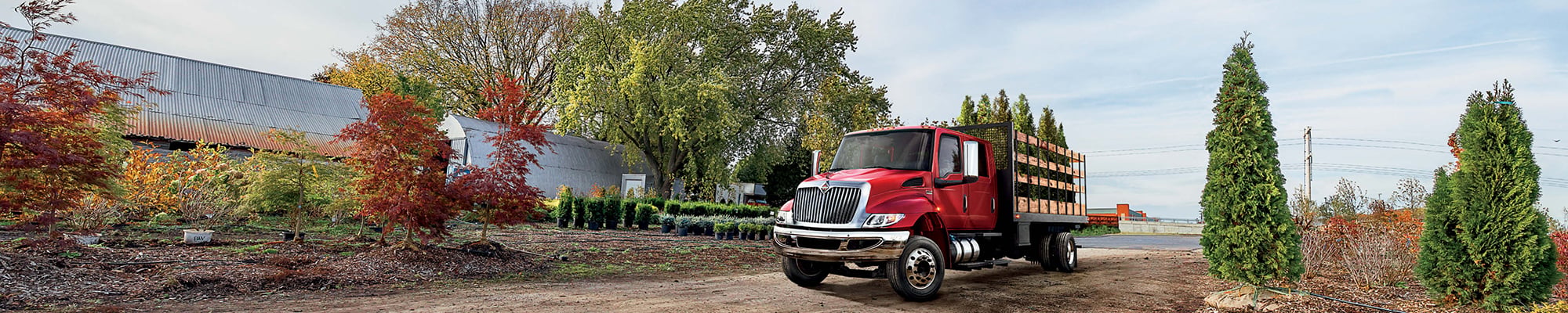 International Trucks